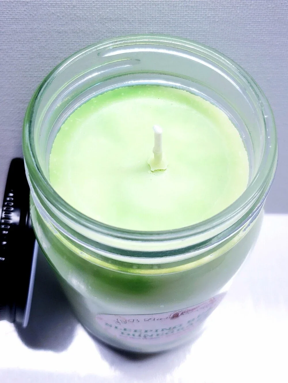 Handmade SLEEPING BEAR DUNEGRASS Wax Candle , Natural Cotton Wick, 16Oz